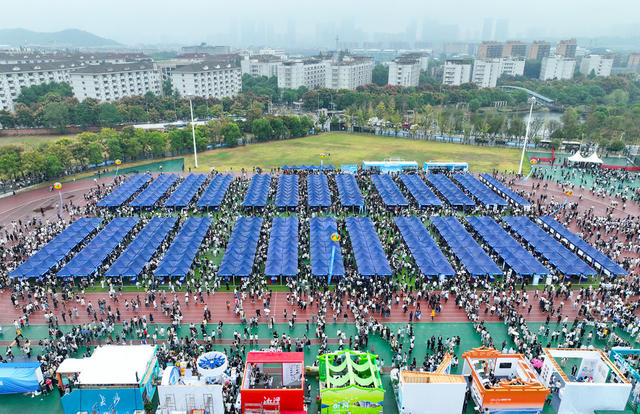 智汇潇湘 才聚湖南 大会 国聘行动 湘才留湘 中南大学 