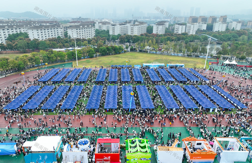 智汇潇湘 才聚湖南 大会 国聘行动 湘才留湘 中南大学 