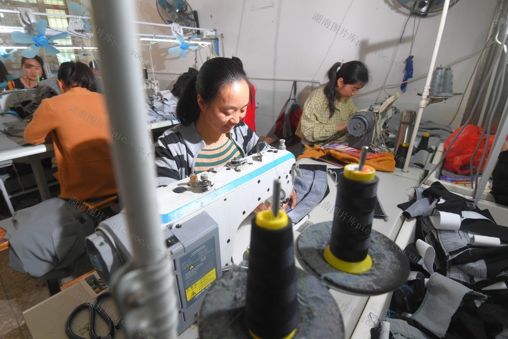 邵阳县 扶贫 就业 贫困 劳动力