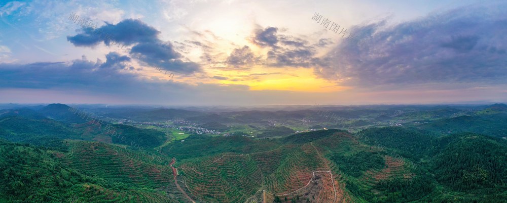 邵阳县 油茶基地 生态