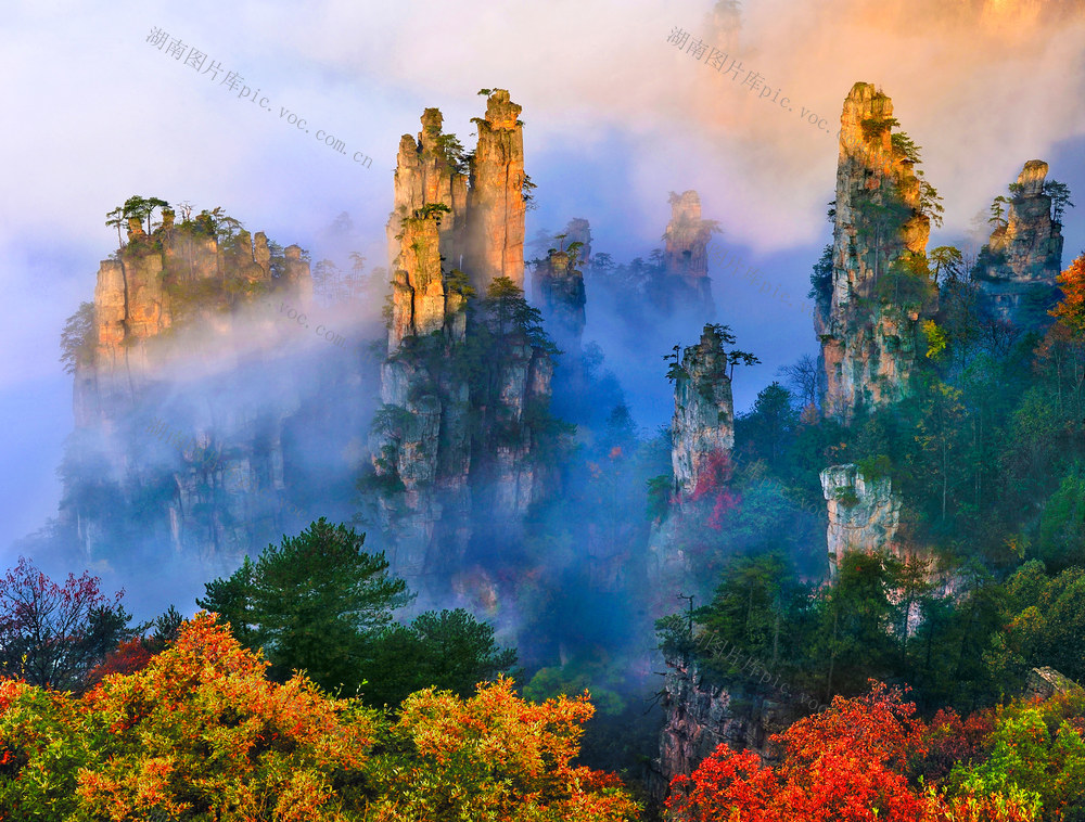 张家界国家森林公园