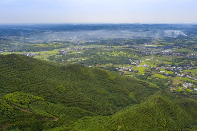 邵阳县 白仓镇 黄连村 油茶