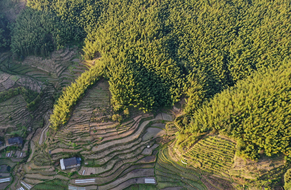 隆回县虎形山瑶族乡草原村