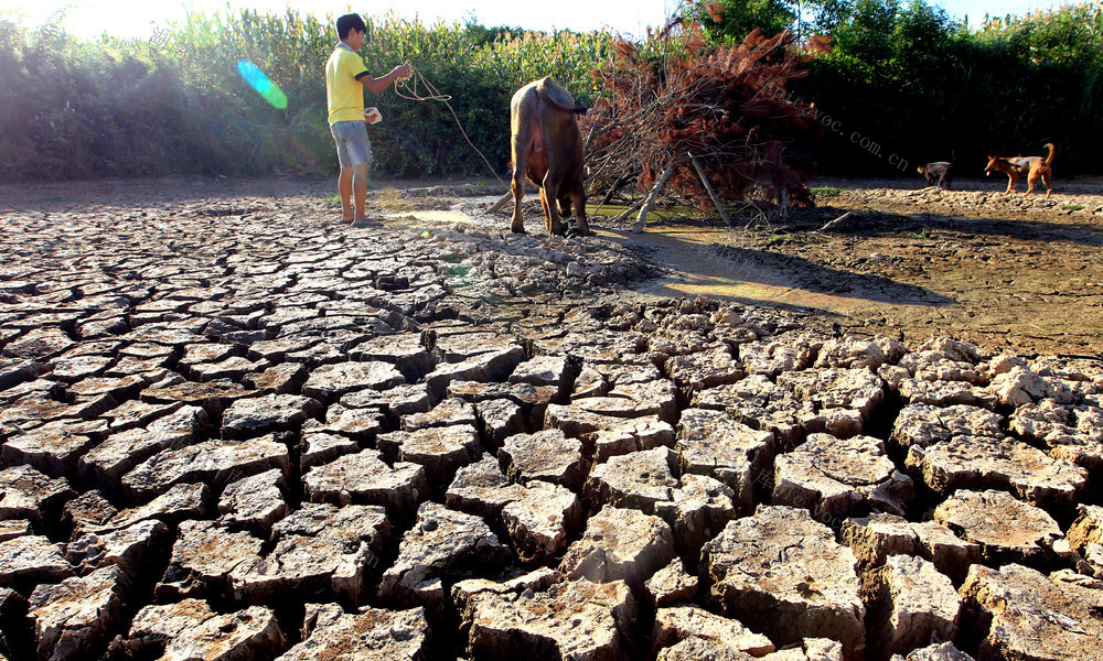 邵阳县 黄荆乡 长乡村 干涸 干旱