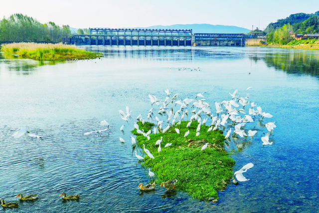 邵阳县 天子湖国家湿地公园