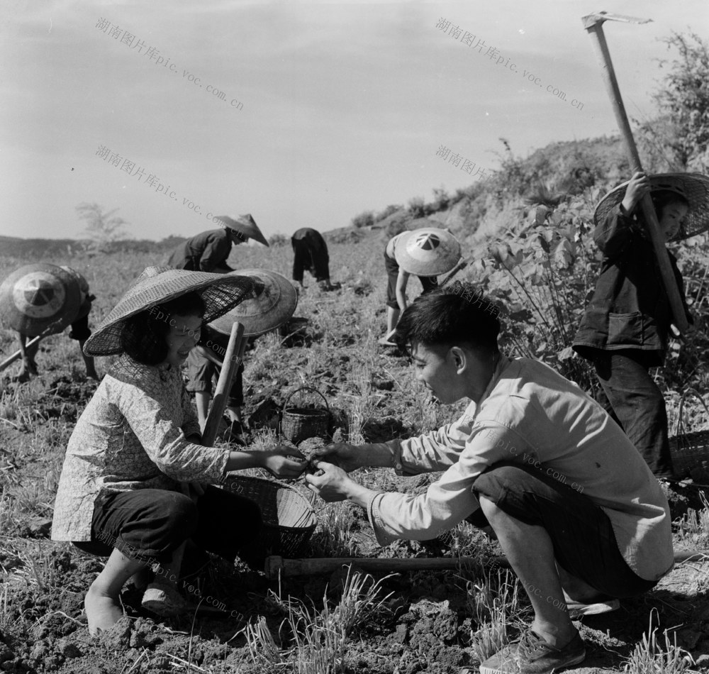 邵阳县伏溪桥  陈伯仲