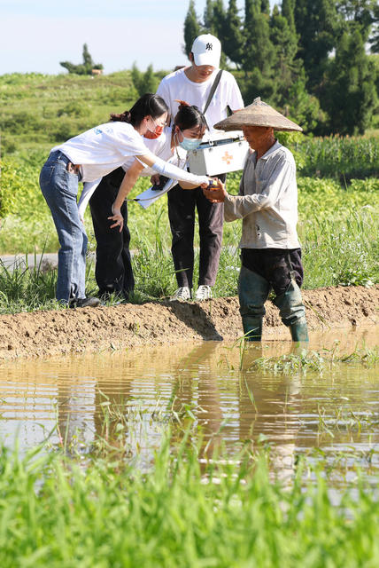 送医送药 田间地头 大学生 三下乡