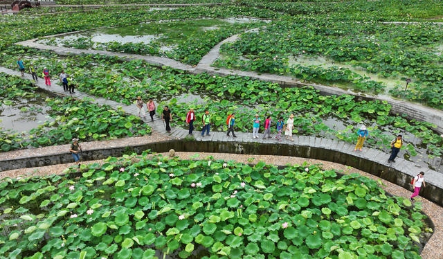 南岳 荷塘 水帘洞
