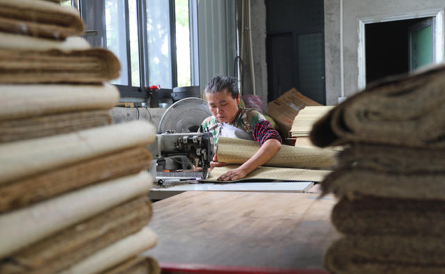 席草 草席 祁东 金桥 增收 