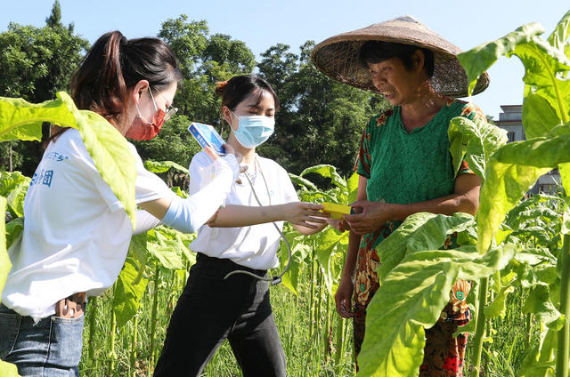 送医送药 田间地头 大学生 三下乡