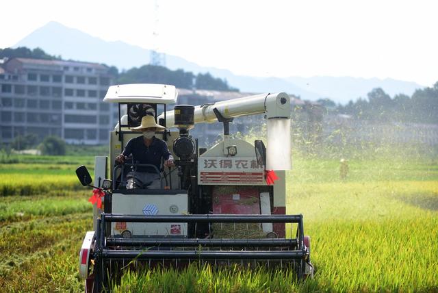 双峰县　收割机　农友集团　农机　粮食生产　双季稻　早稻　双抢