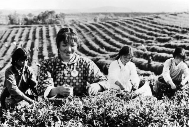 知识青年 青年下放