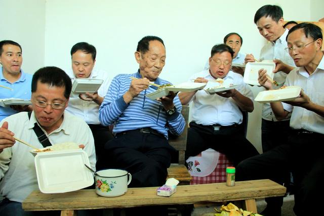 杂交水稻 超级杂交稻 亩产千公斤攻关 粮食安全 测产验收 农业 袁隆平