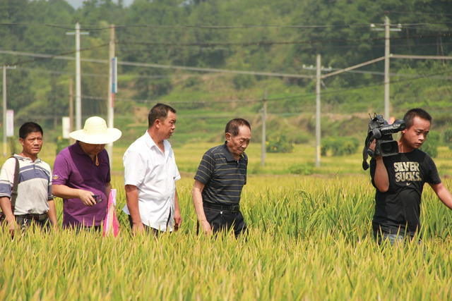 农业 农村 袁隆平 超级稻 杂交水稻