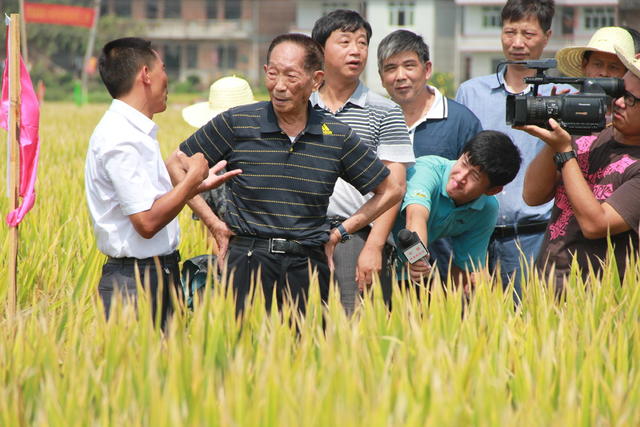 农业 农村 袁隆平 超级稻 杂交水稻