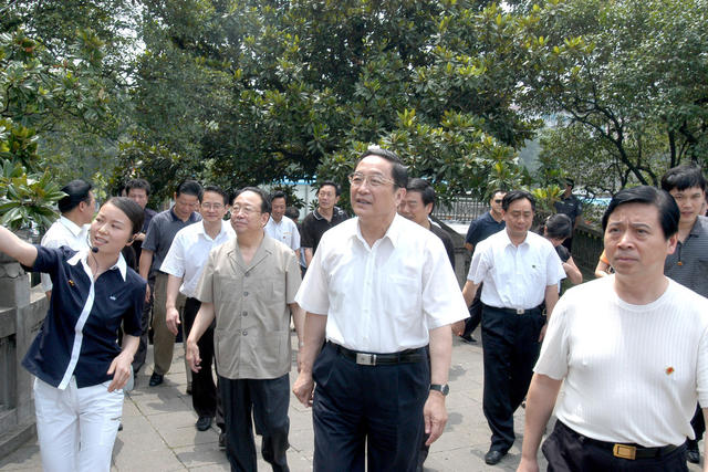 俞正声在岳阳考察 湖北省党政代表团 杨正午
