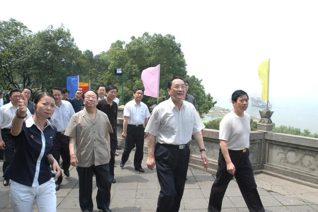 俞正声在岳阳考察 湖北省党政代表团 杨正午