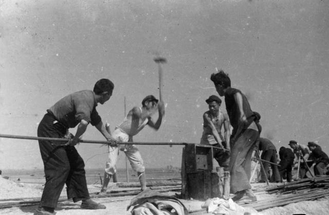 水利 建设 防汛 防洪 洪水 堤坝 水闸 