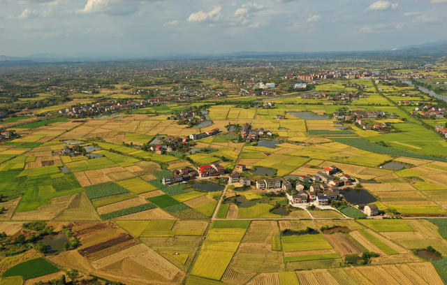初秋 田园 丰收 景色