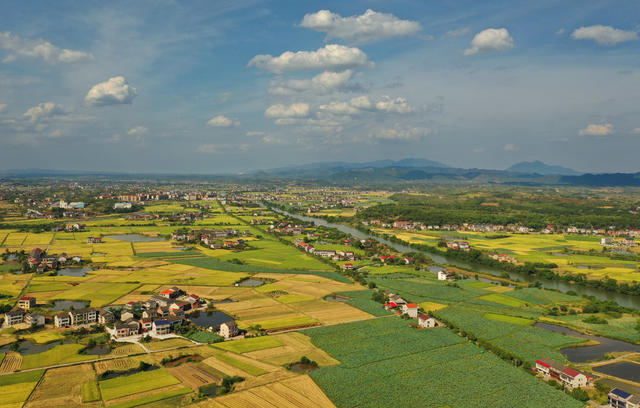初秋 田园 丰收 景色