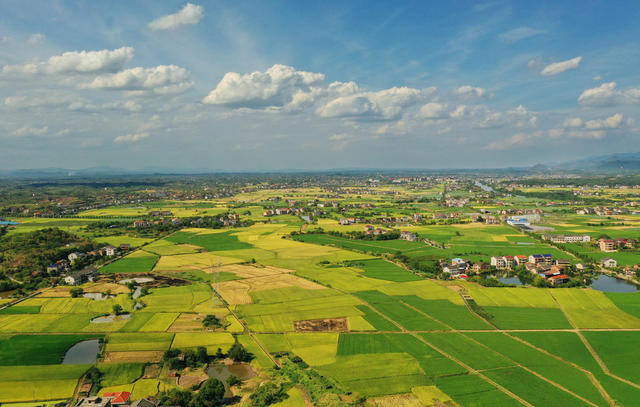初秋 田园 丰收 景色