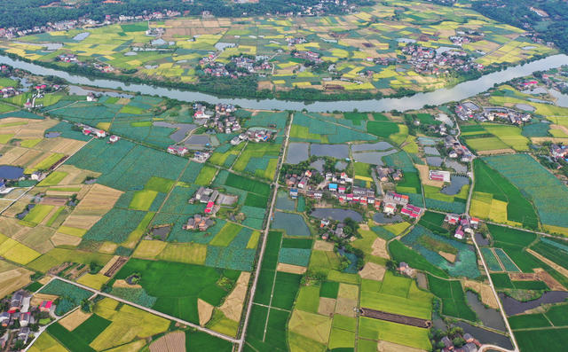 初秋 田园 丰收 景色