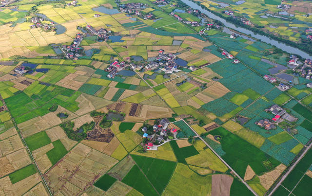初秋 田园 丰收 景色