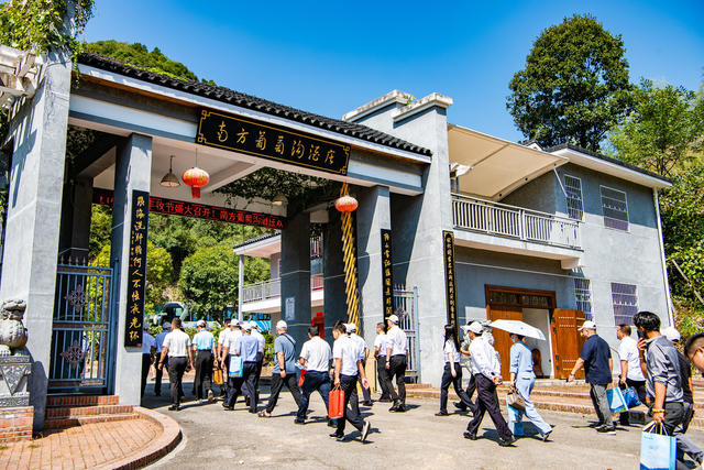 葡萄 乡村振兴 旅游  种植 葡萄沟 怀化中方