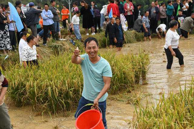 农业 农田  农民  梯田  山背花瑶梯田 