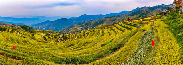 农业 农田  农民  梯田  山背花瑶梯田 