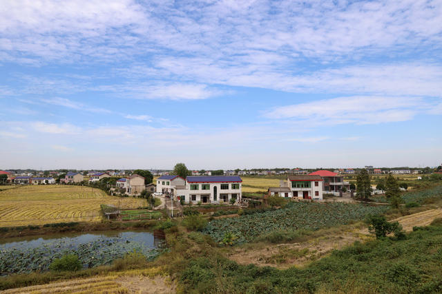 团山湖村  雷锋 “最美奋斗者” 社会主义新农村