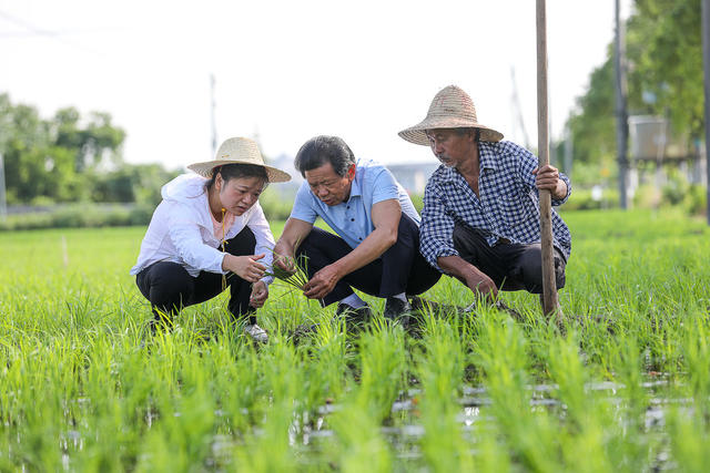 朱霞 二十大代表