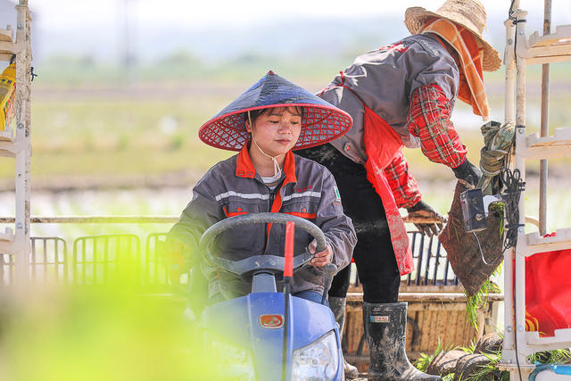 朱霞 二十大代表