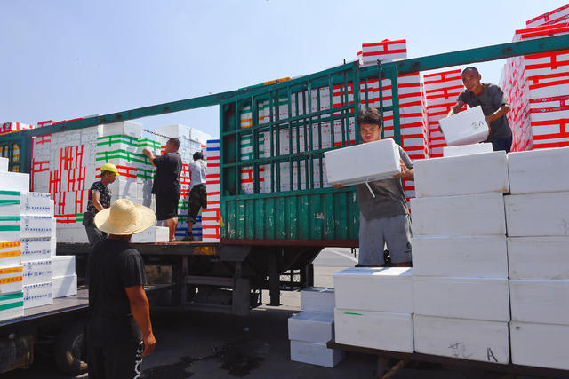 海吉星 供应 菜篮子