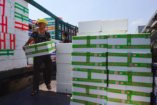 海吉星 供应 菜篮子