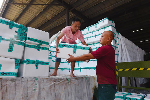 海吉星 供应 菜篮子