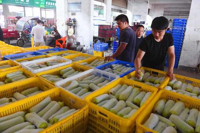 海吉星 供应 菜篮子