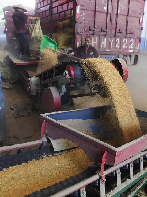 夏粮 丰收 粮库