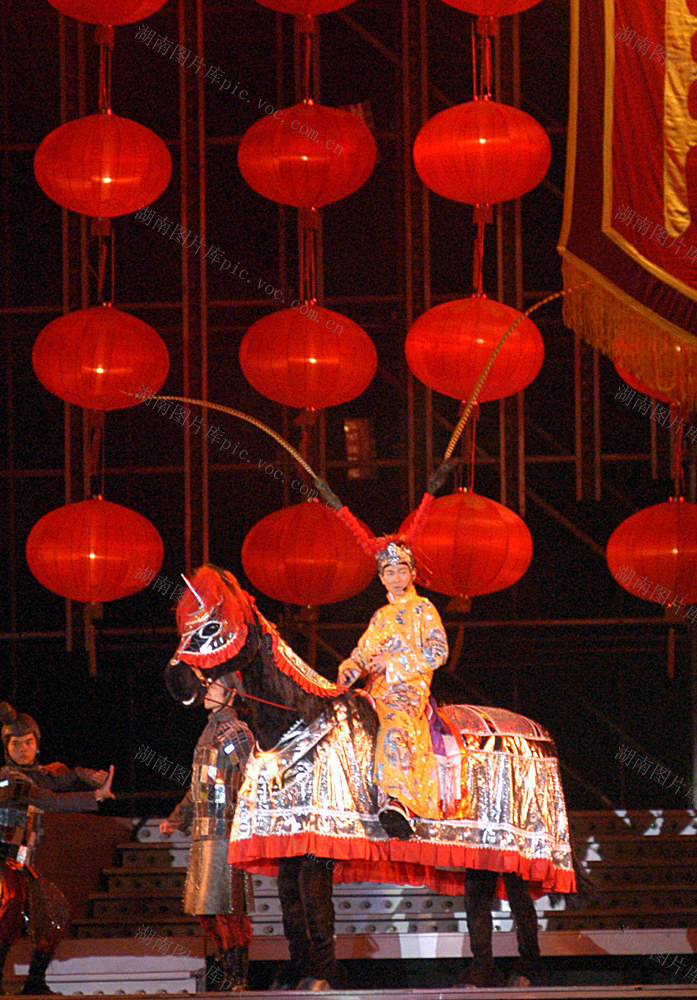 刘德华长沙演唱会