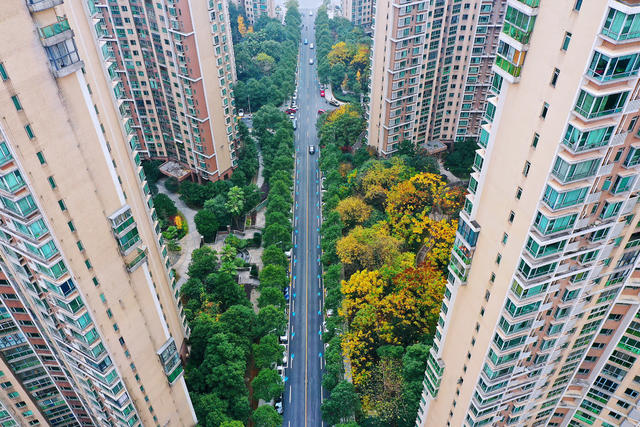 道路 提质 小区宜居