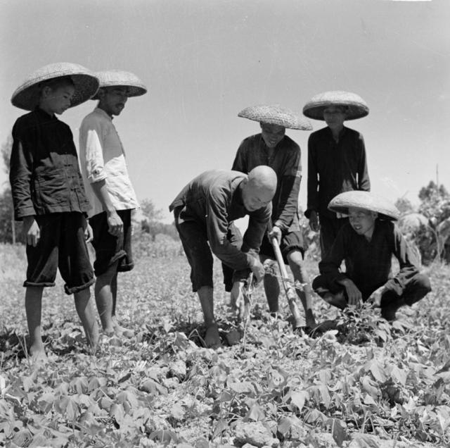 洞庭湖区 灾民 洪灾