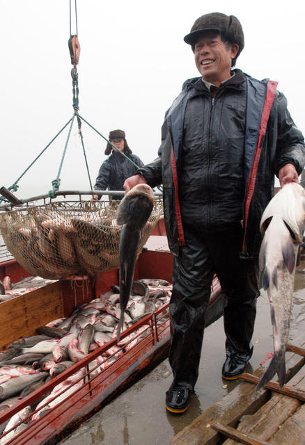 华容东湖开湖捕鱼