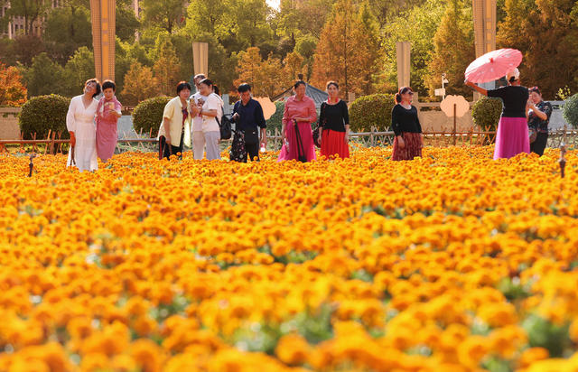 公园 自然 美景 冬日 暖阳