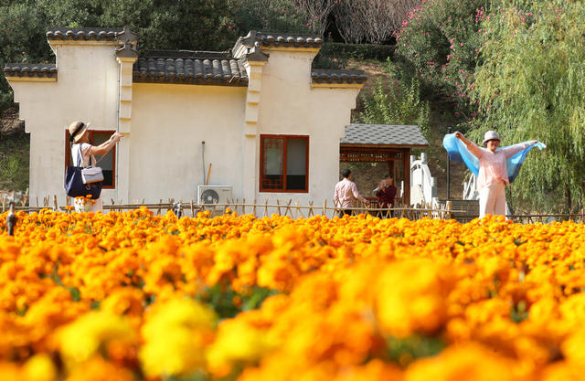 公园 自然 美景 冬日 暖阳