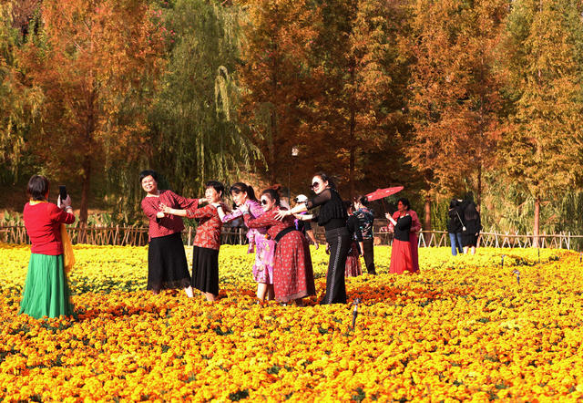 公园 自然 美景 冬日 暖阳