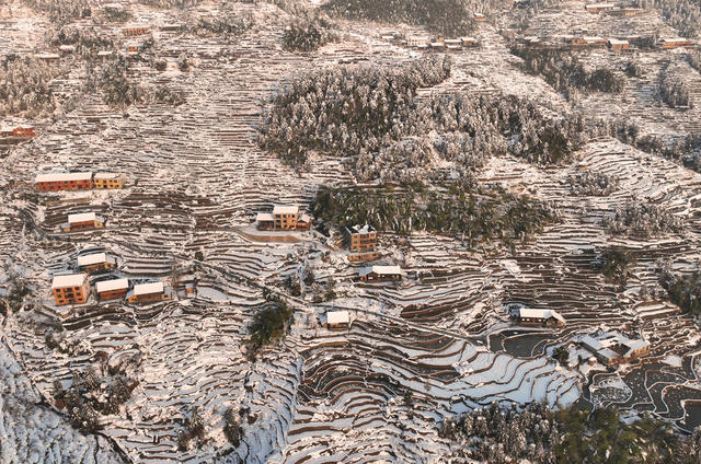 梯田 雪后 雪景