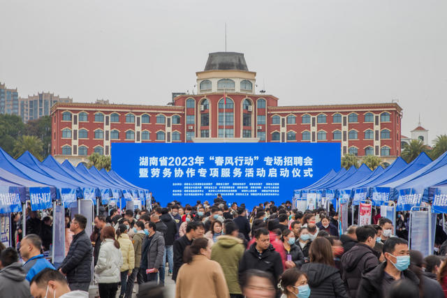 招聘  求职  