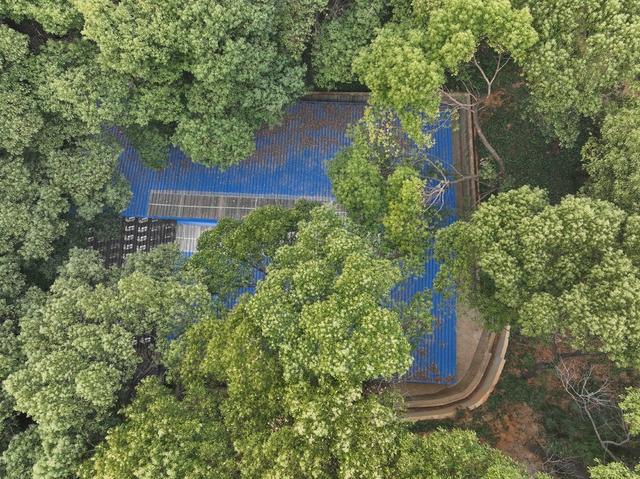 三号墓 马王堆 墓坑 遗址 博物院 航拍马王堆