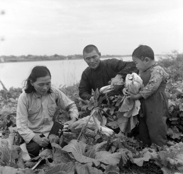 开荒 劳动 迁居