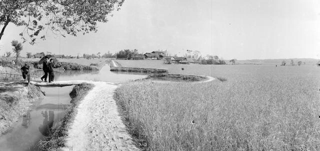 农民 家庭  生活  勤俭节约